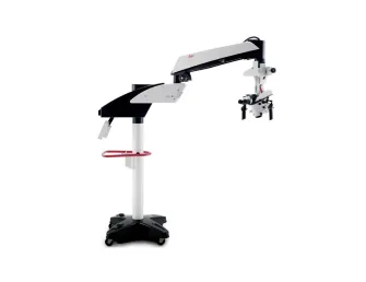 Photo non contractuelle